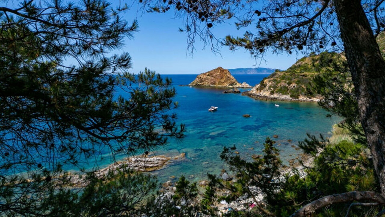 Photo of Others in Monte Argentario