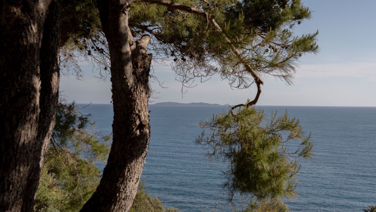 Photo of Others in Monte Argentario
