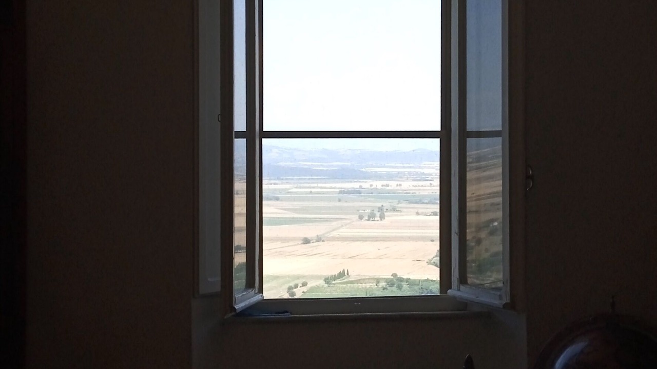 Photo of Others in Castiglione della Pescaia