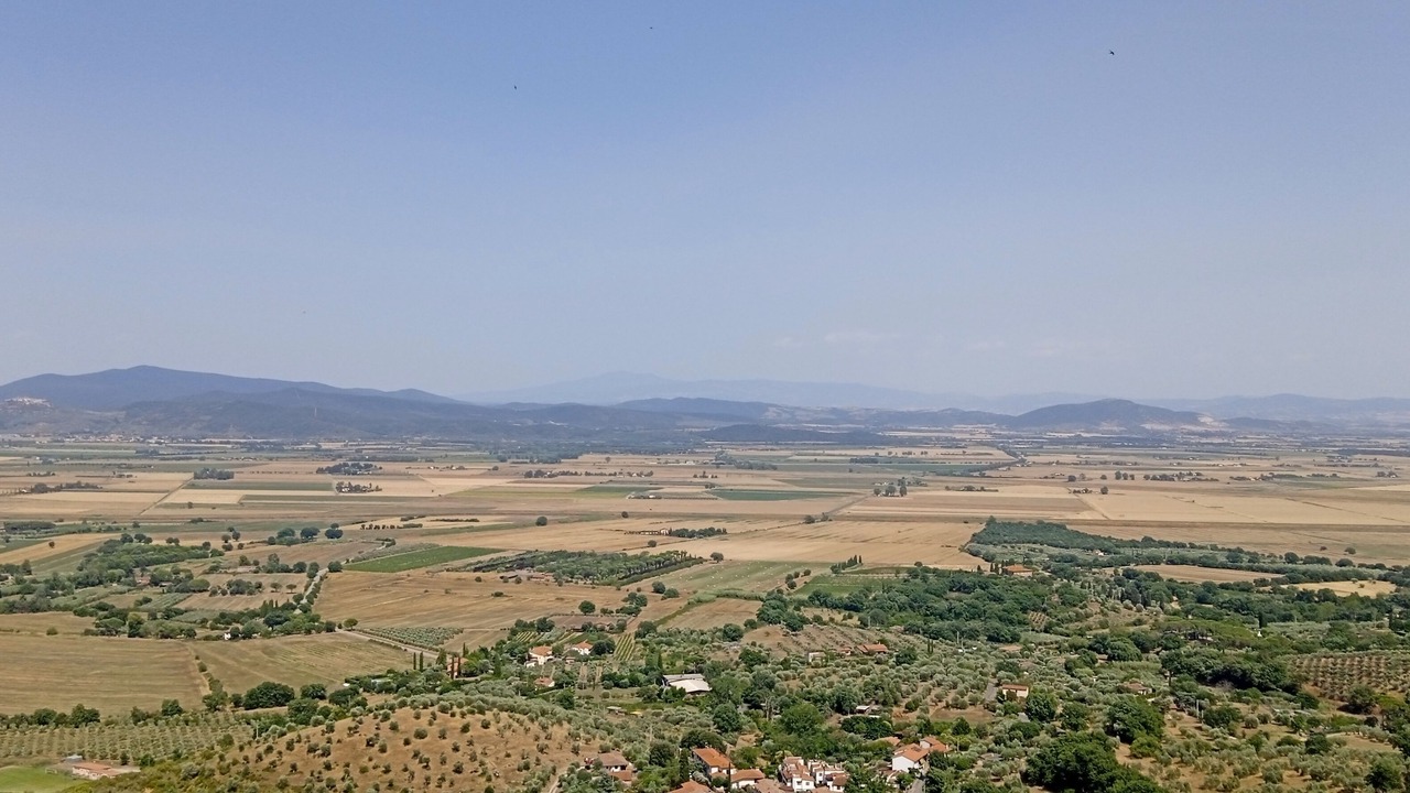 Photo of Others in Castiglione della Pescaia