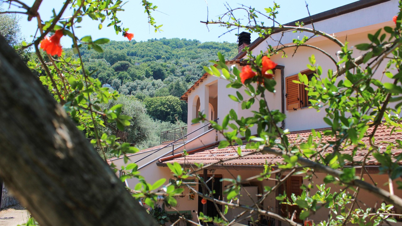 Photo of Outdoor in Sant'Agnello