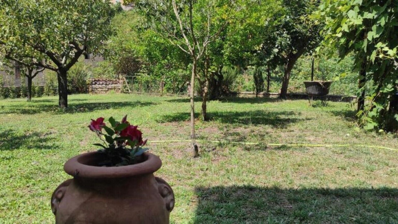 Photo of Outdoor in Grotte di Castro