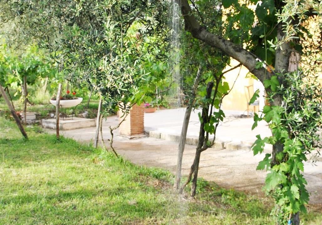 Photo of Outdoor in Sperlonga