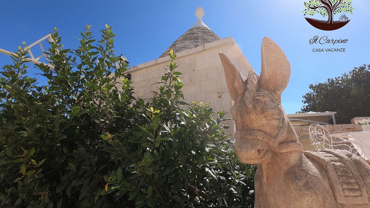 Photo of Outdoor in Martina Franca