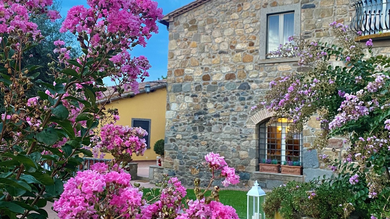 Photo of Outdoor in Bolsena