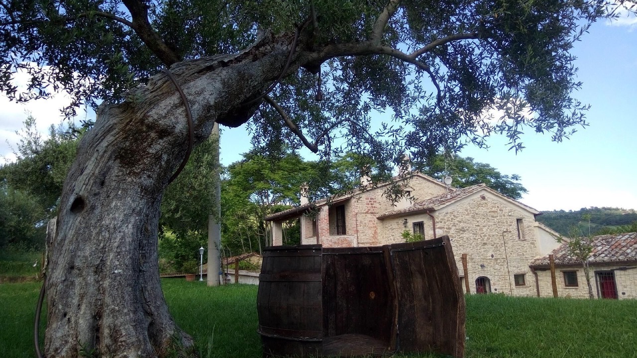 Photo of Outdoor in Montelovesco