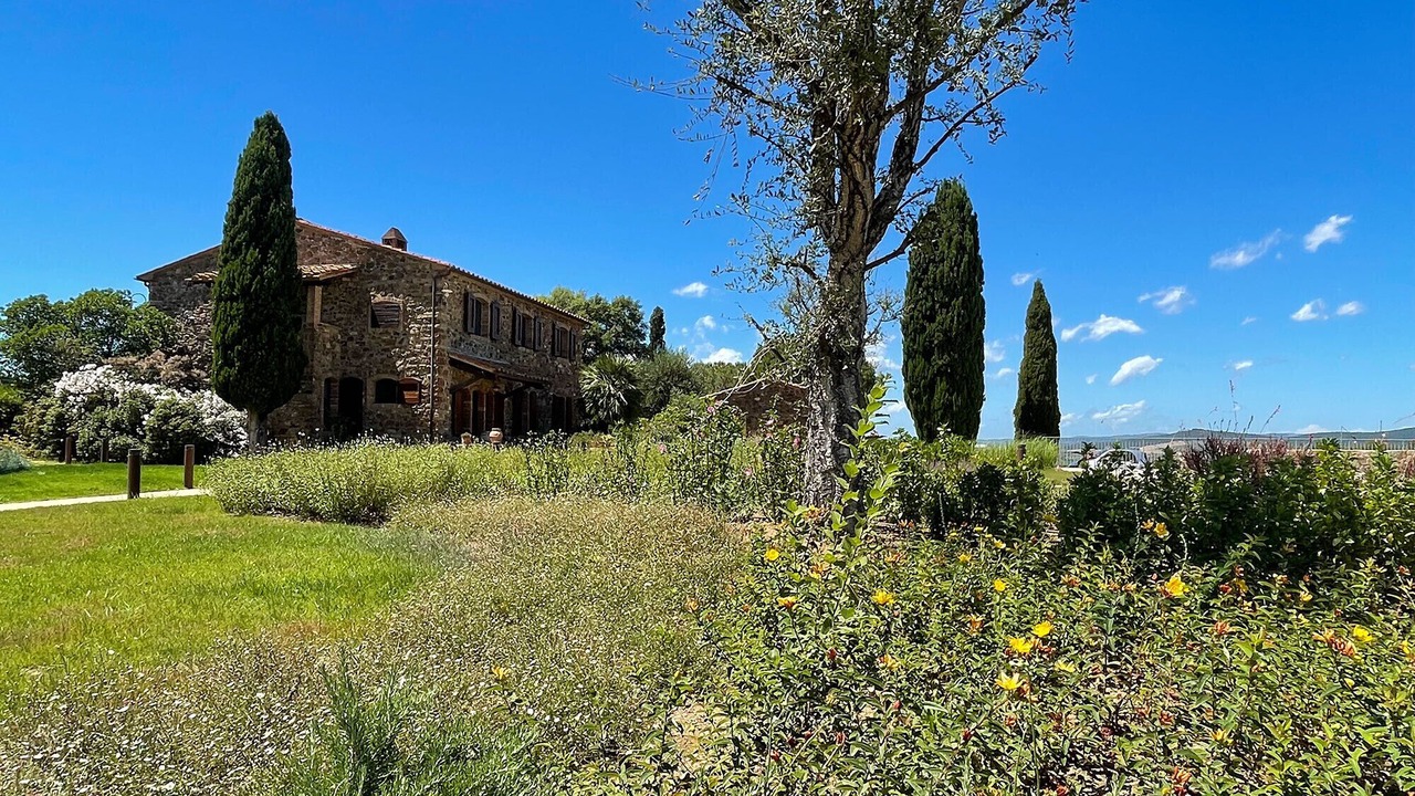 Photo of Outdoor in Scarlino