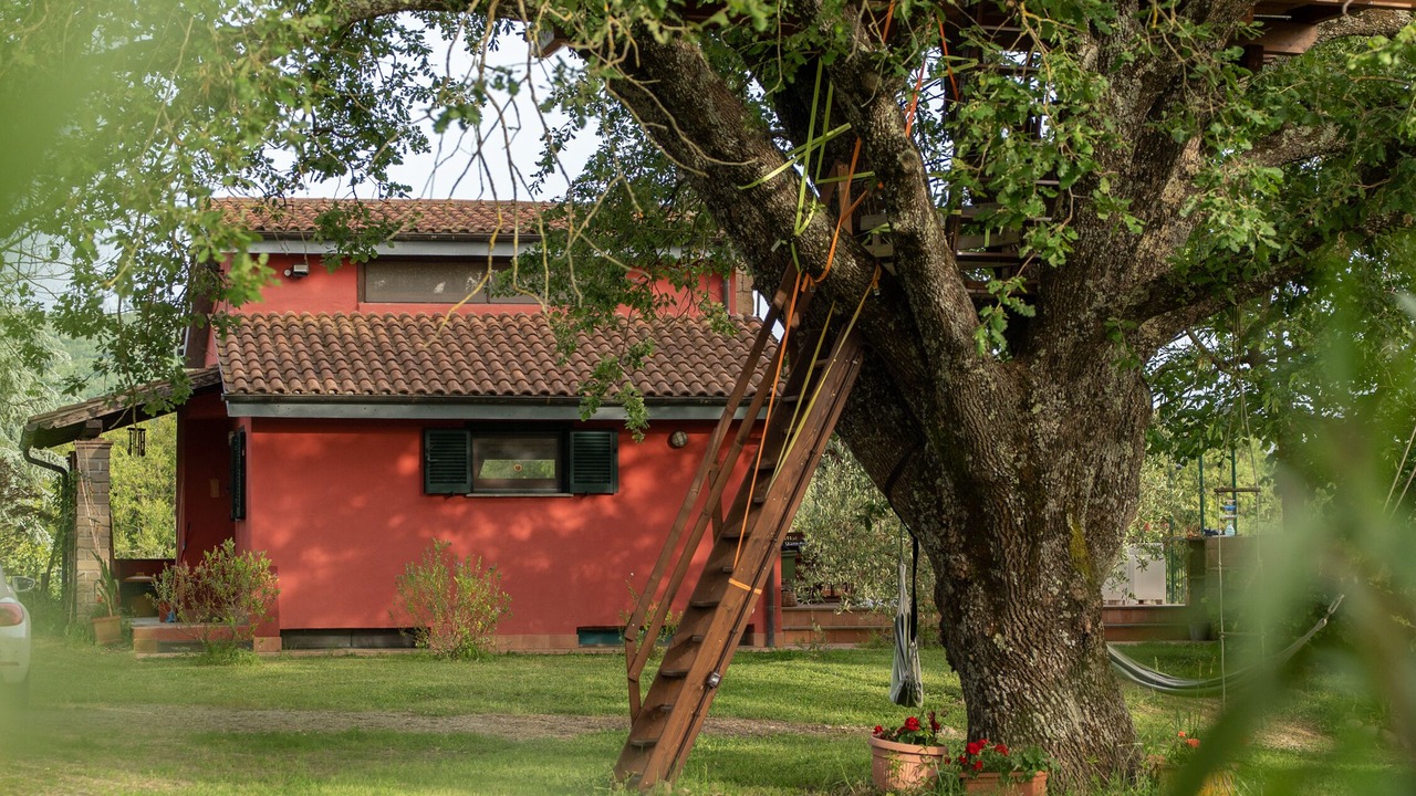 Photo of Outdoor in Canale Monterano