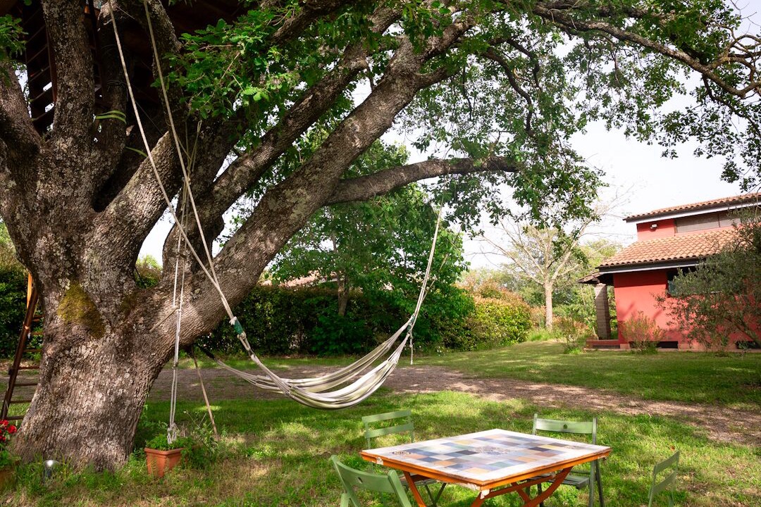 Photo of Outdoor in Canale Monterano