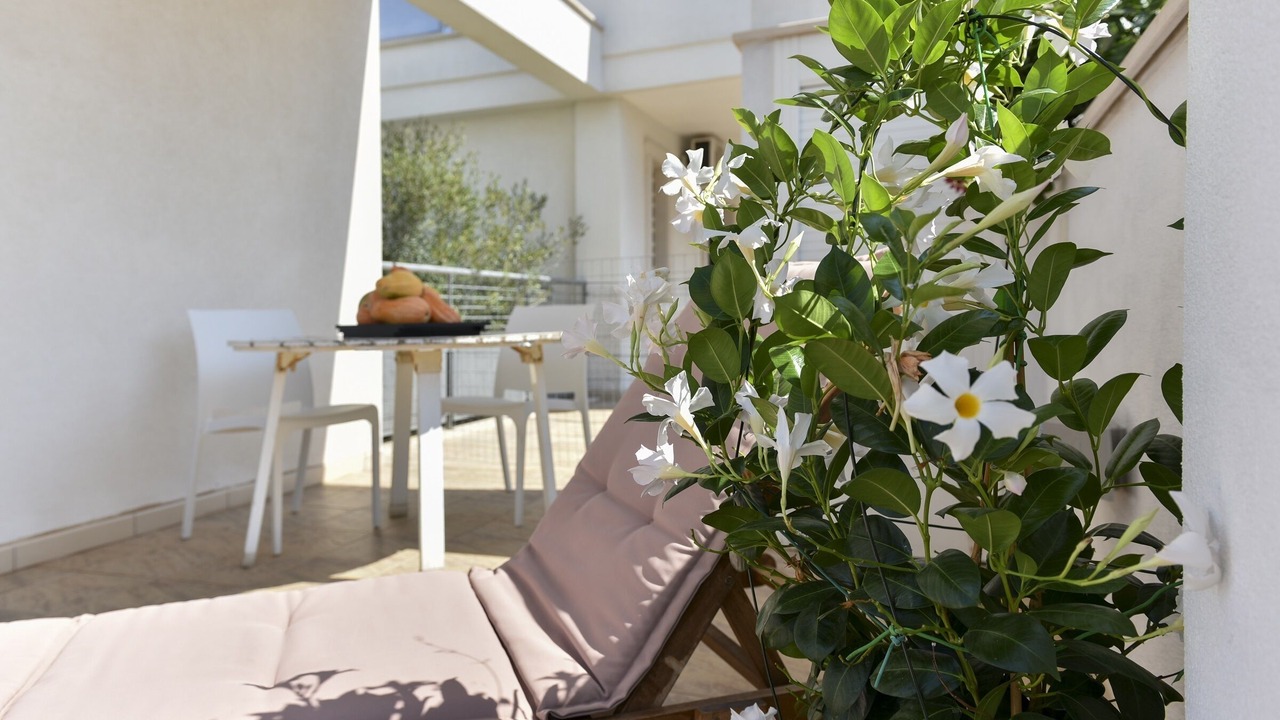 Photo of Outdoor in Monopoli