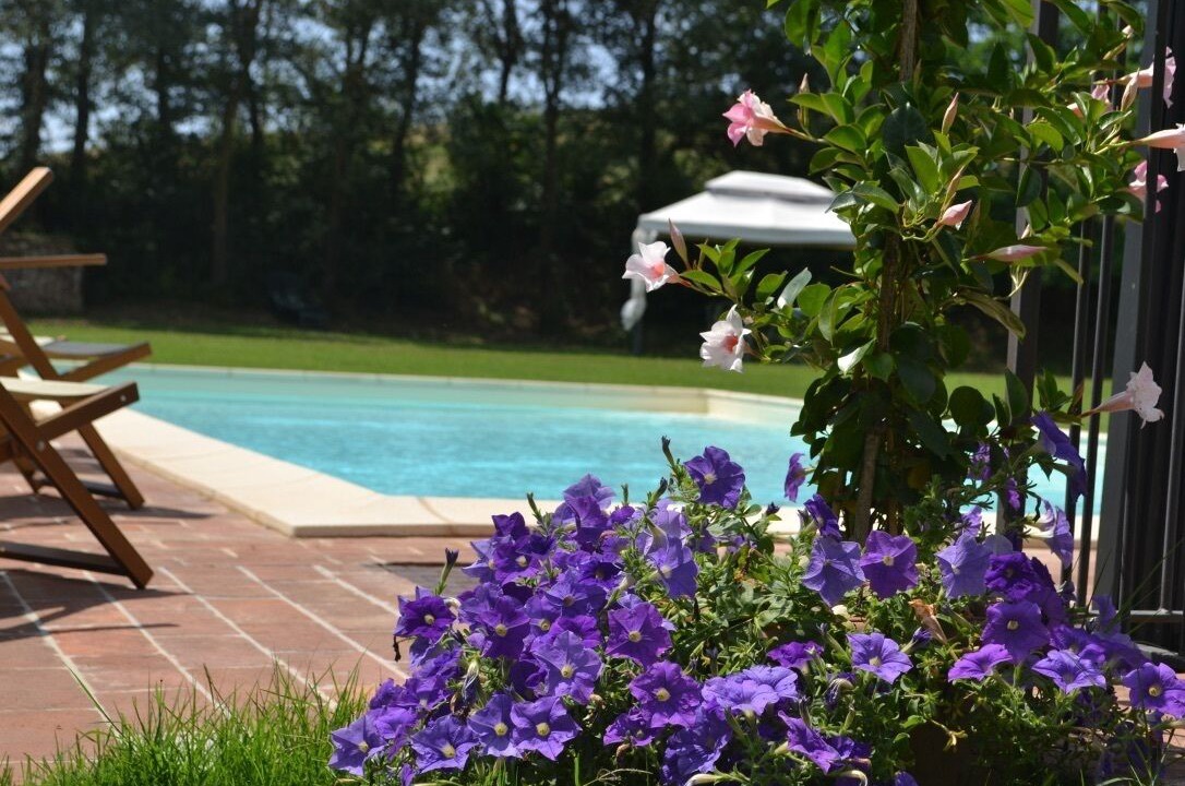 Photo of Outdoor in Monteroni d'Arbia