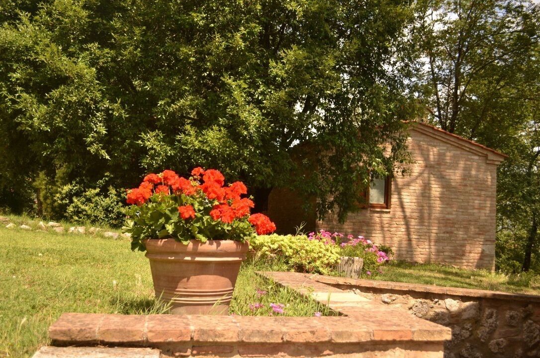 Photo of Outdoor in Monteroni d'Arbia