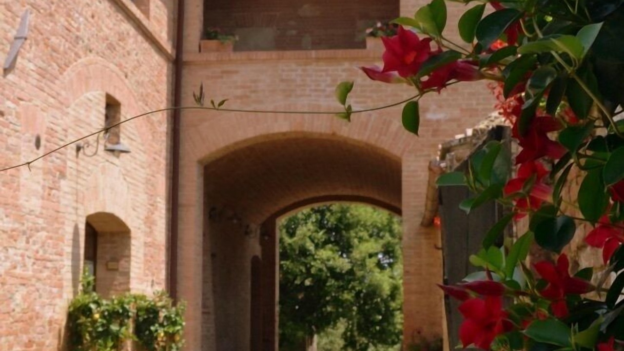 Photo of Outdoor in Monteroni d'Arbia