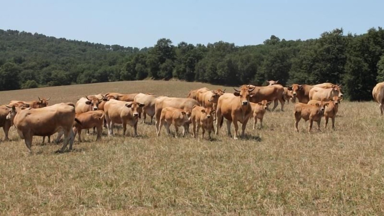Photo of Others in Montorsaio