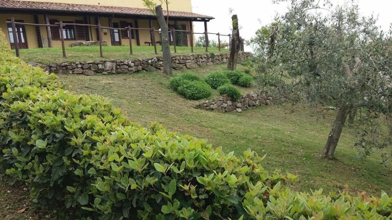 Photo of Outdoor in Elmo