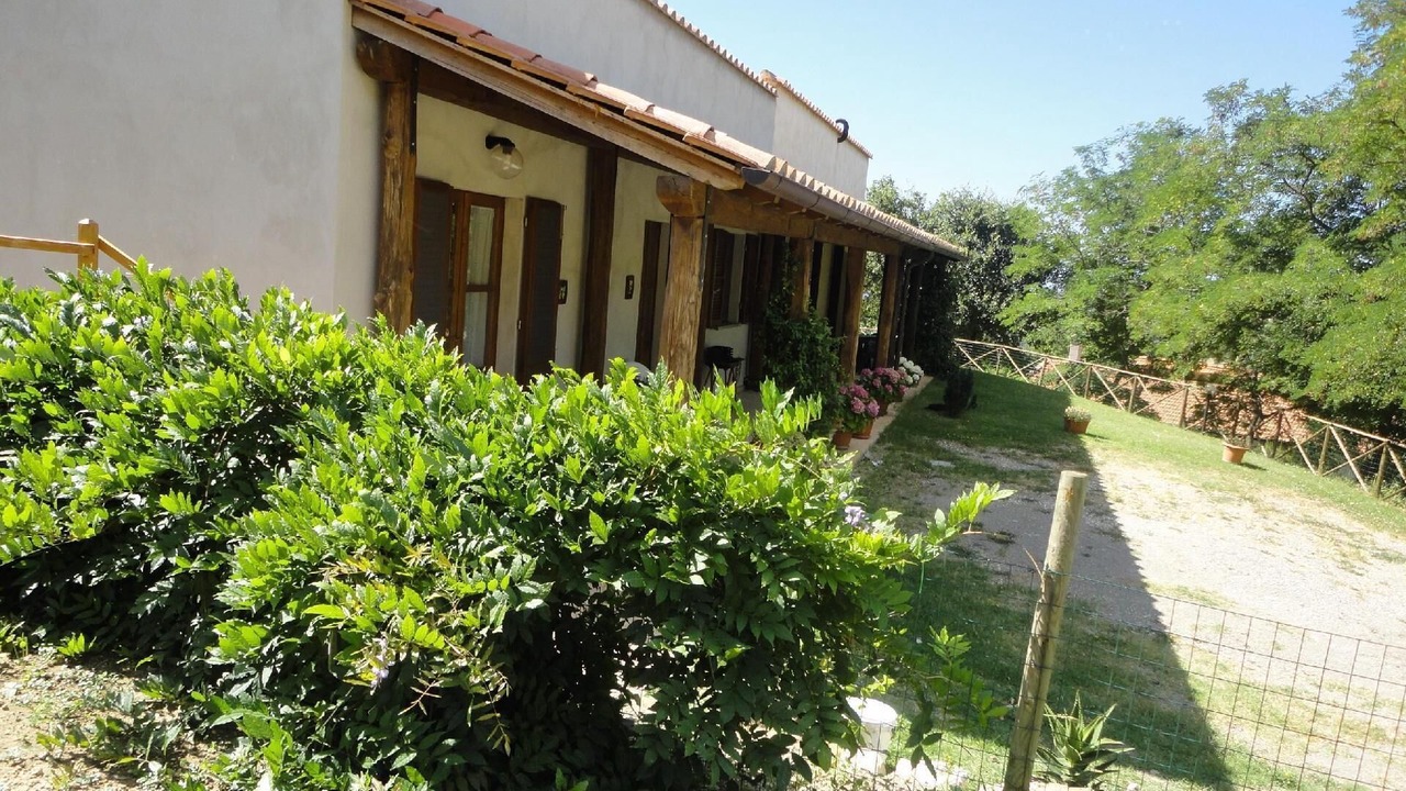 Photo of Outdoor in Elmo