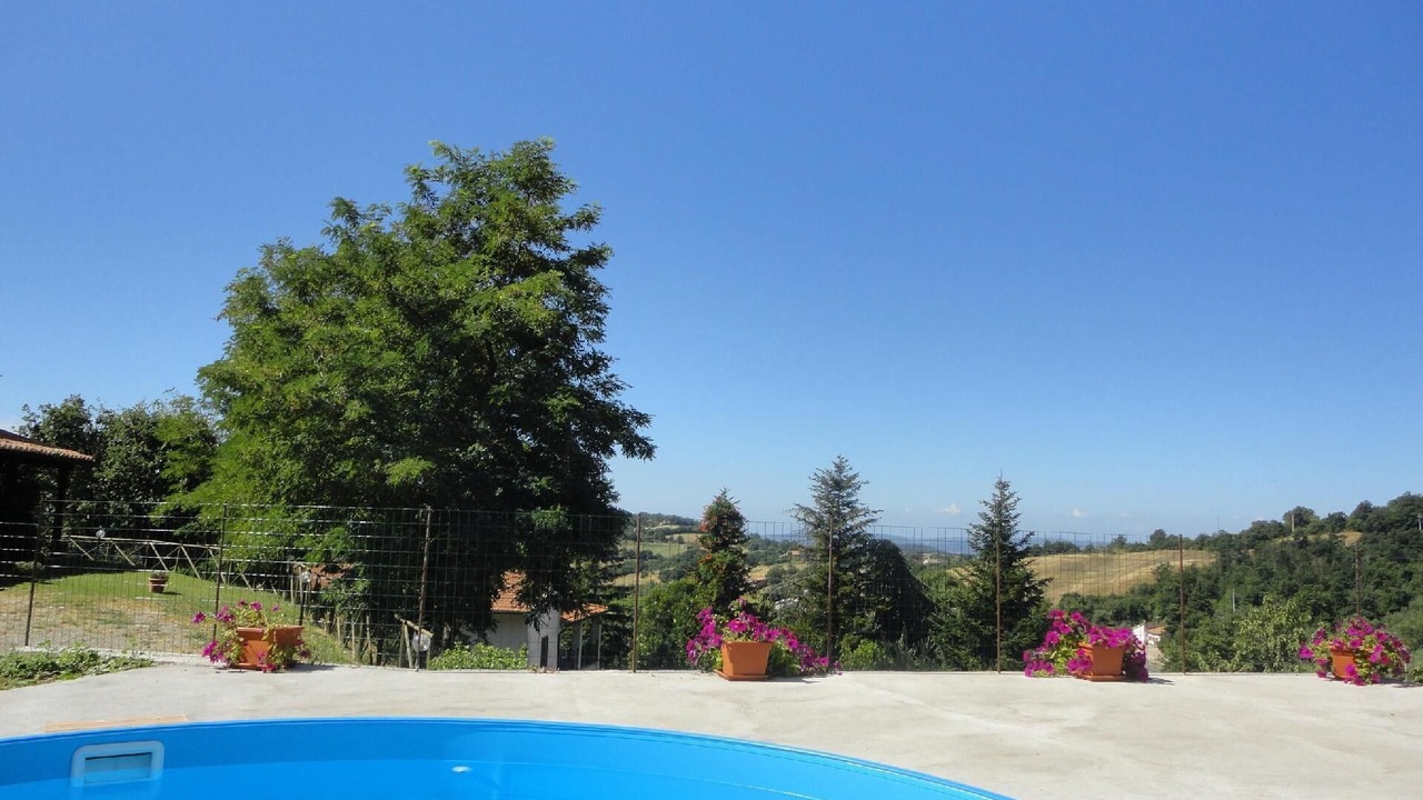 Photo of Outdoor in Elmo