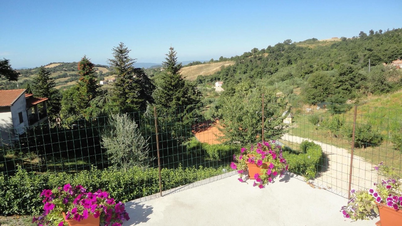 Photo of Outdoor in Elmo
