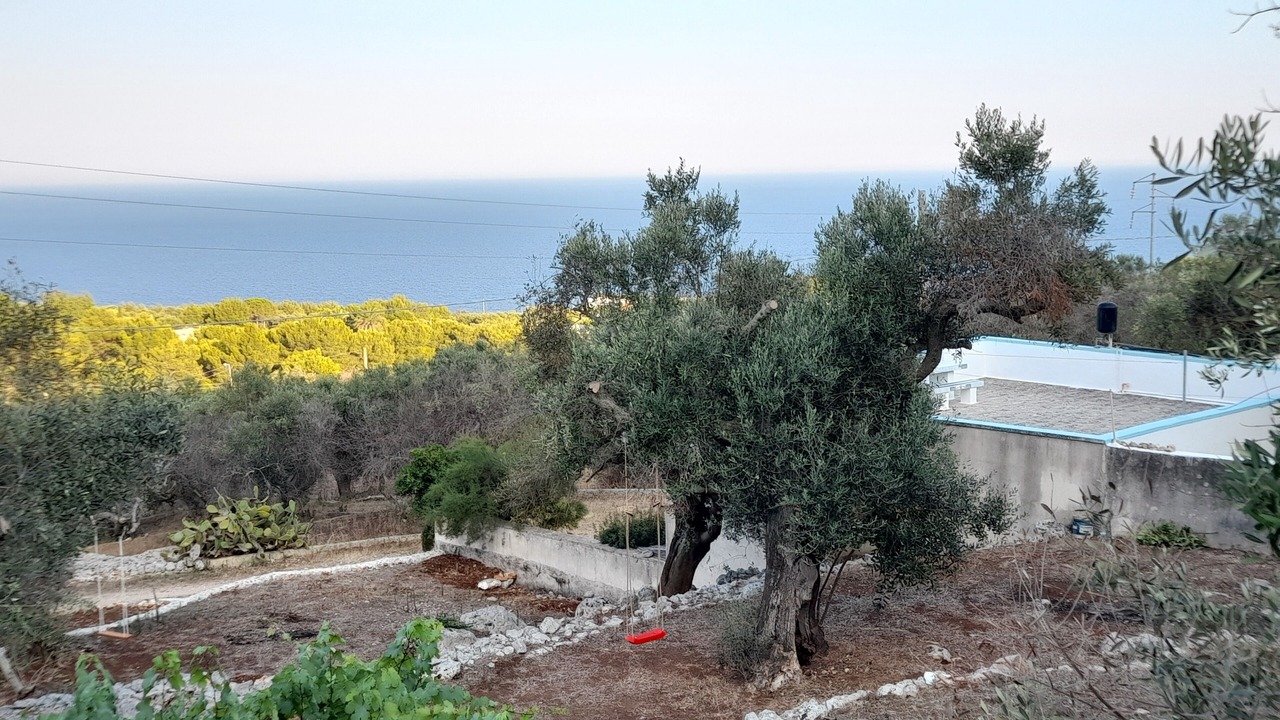 Photo of Others in Marina di Novaglie