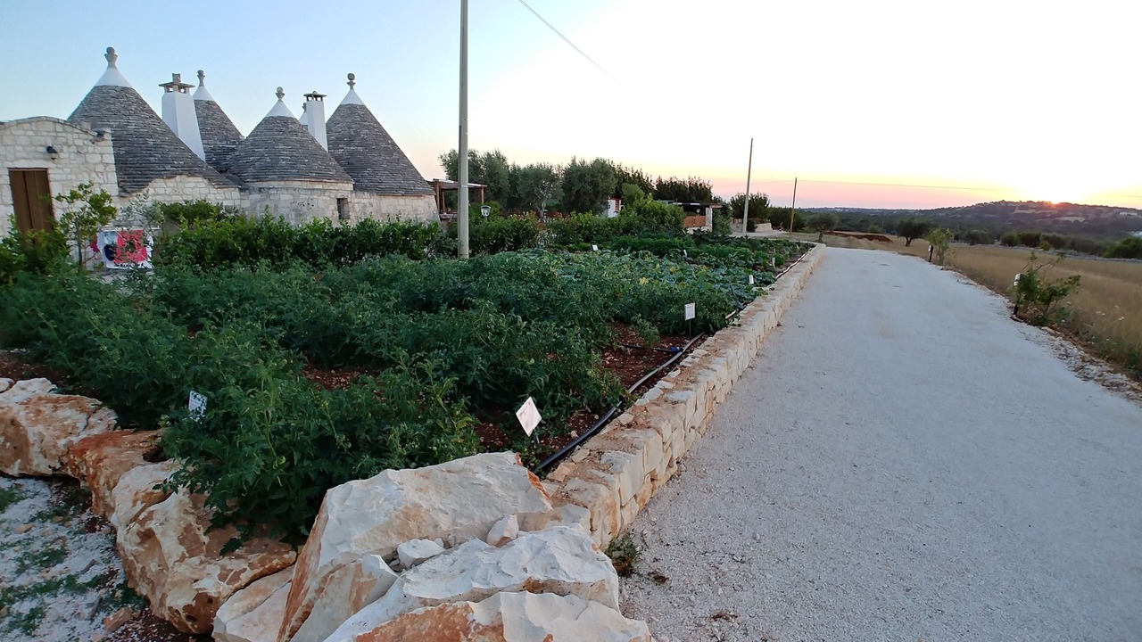 Photo of Outdoor in Martina Franca