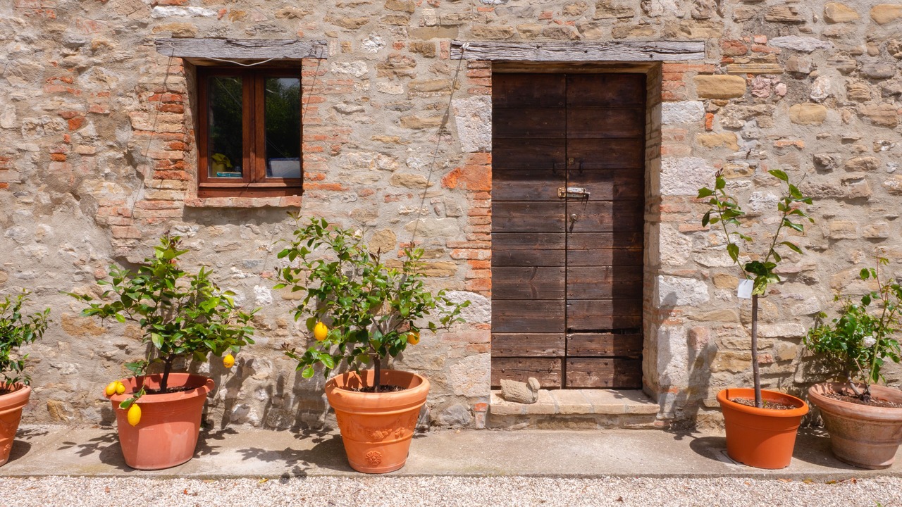 Photo of Others in San Giovanni del Pantano