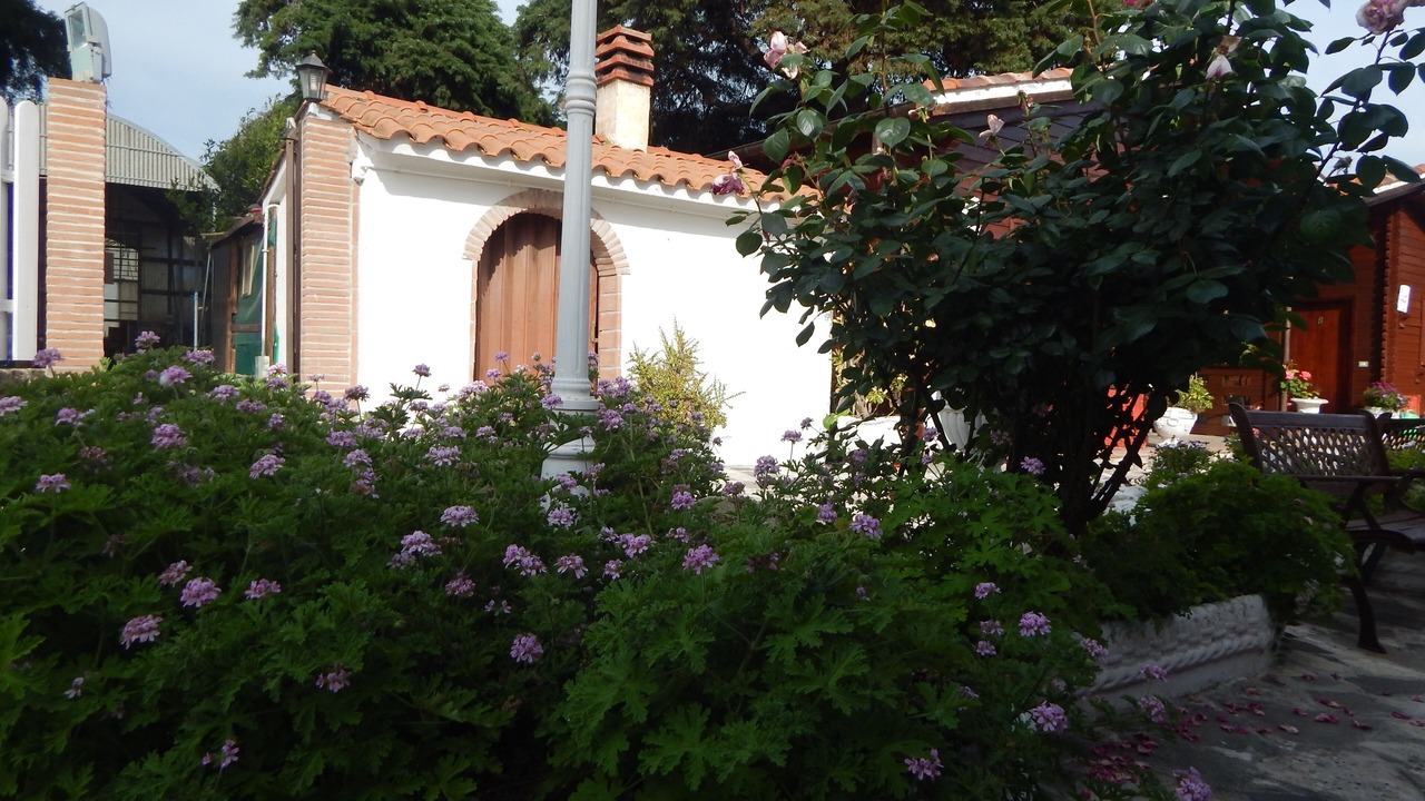 Photo of Outdoor in Cerveteri