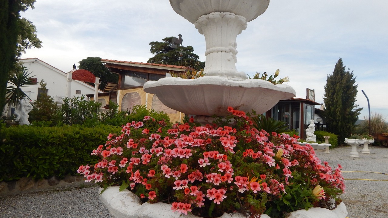 Photo of Outdoor in Cerveteri