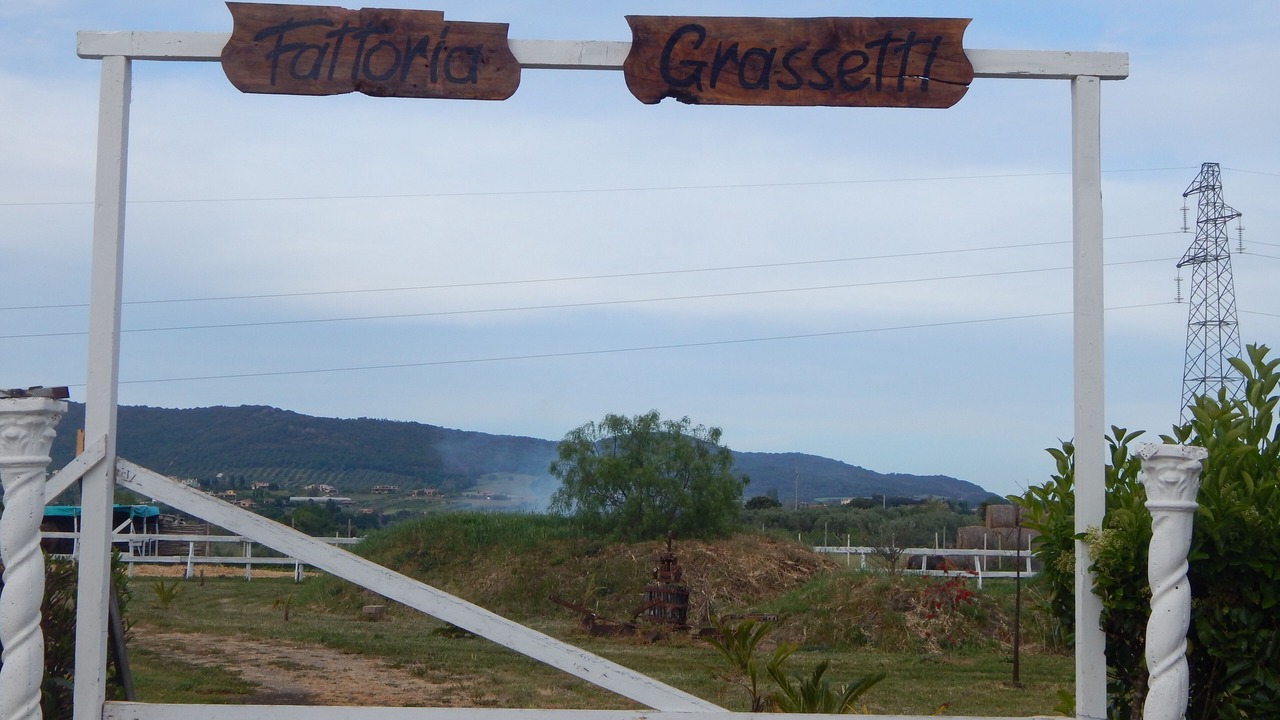 Photo of Outdoor in Cerveteri