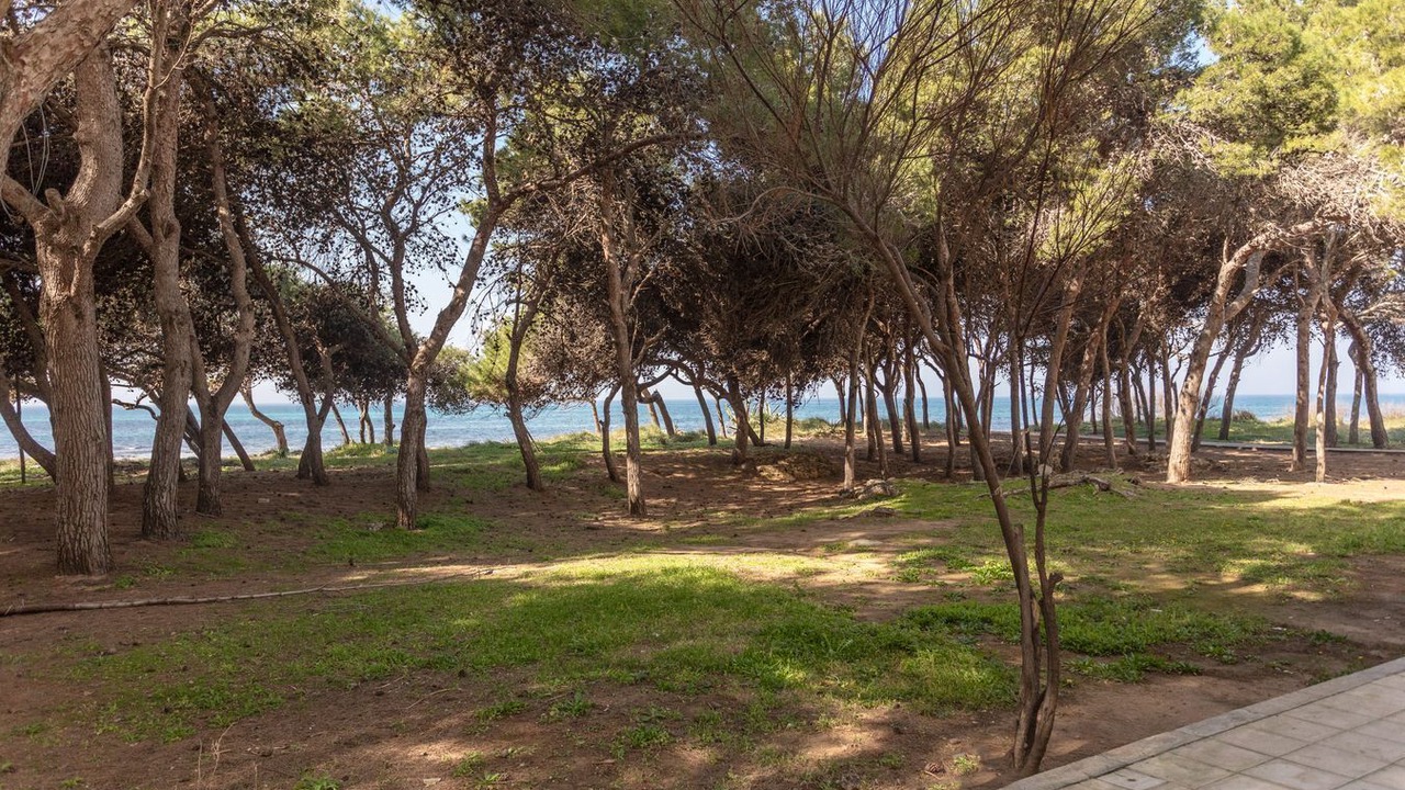 Photo of Outdoor in Rivabella