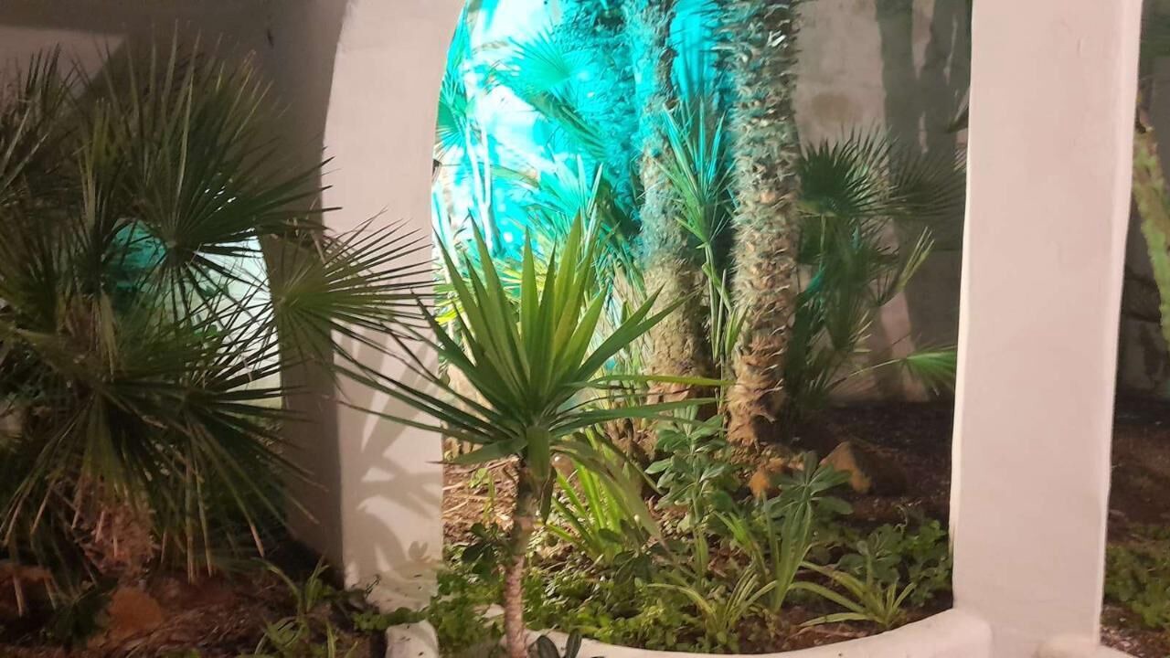Photo of Outdoor in Anzio