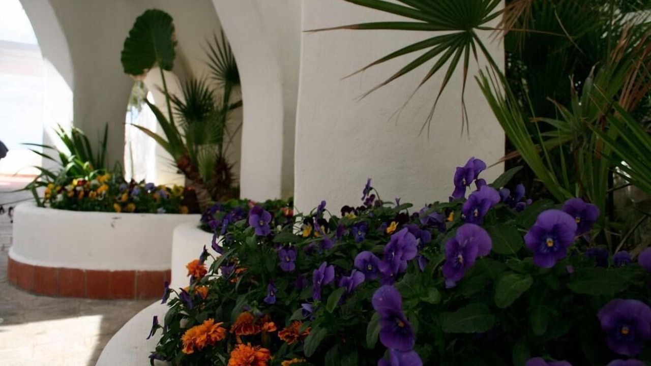 Photo of Outdoor in Anzio
