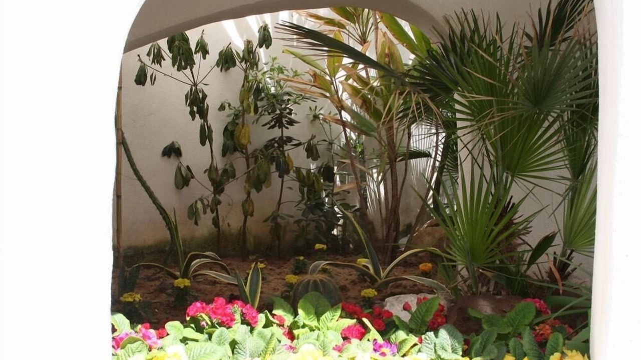 Photo of Outdoor in Anzio