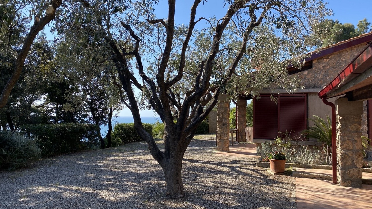 Photo of Outdoor in Cala Piccola