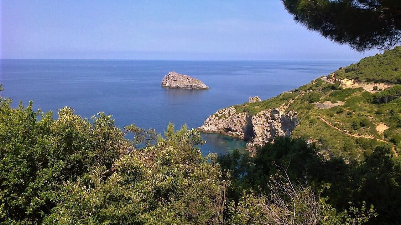 Photo of Others in Cala Piccola