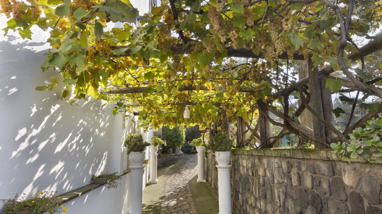 Photo of Outdoor in Sorrento City Centre
