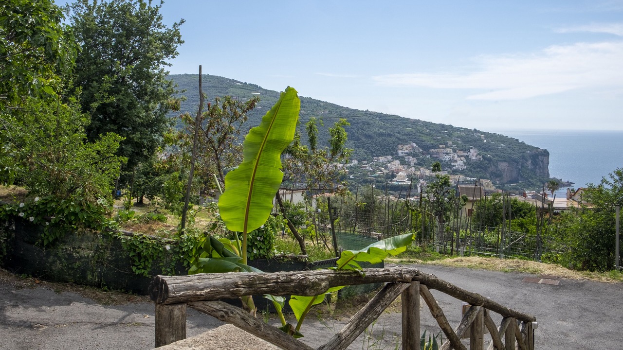 Photo of Outdoor in Vico Equense