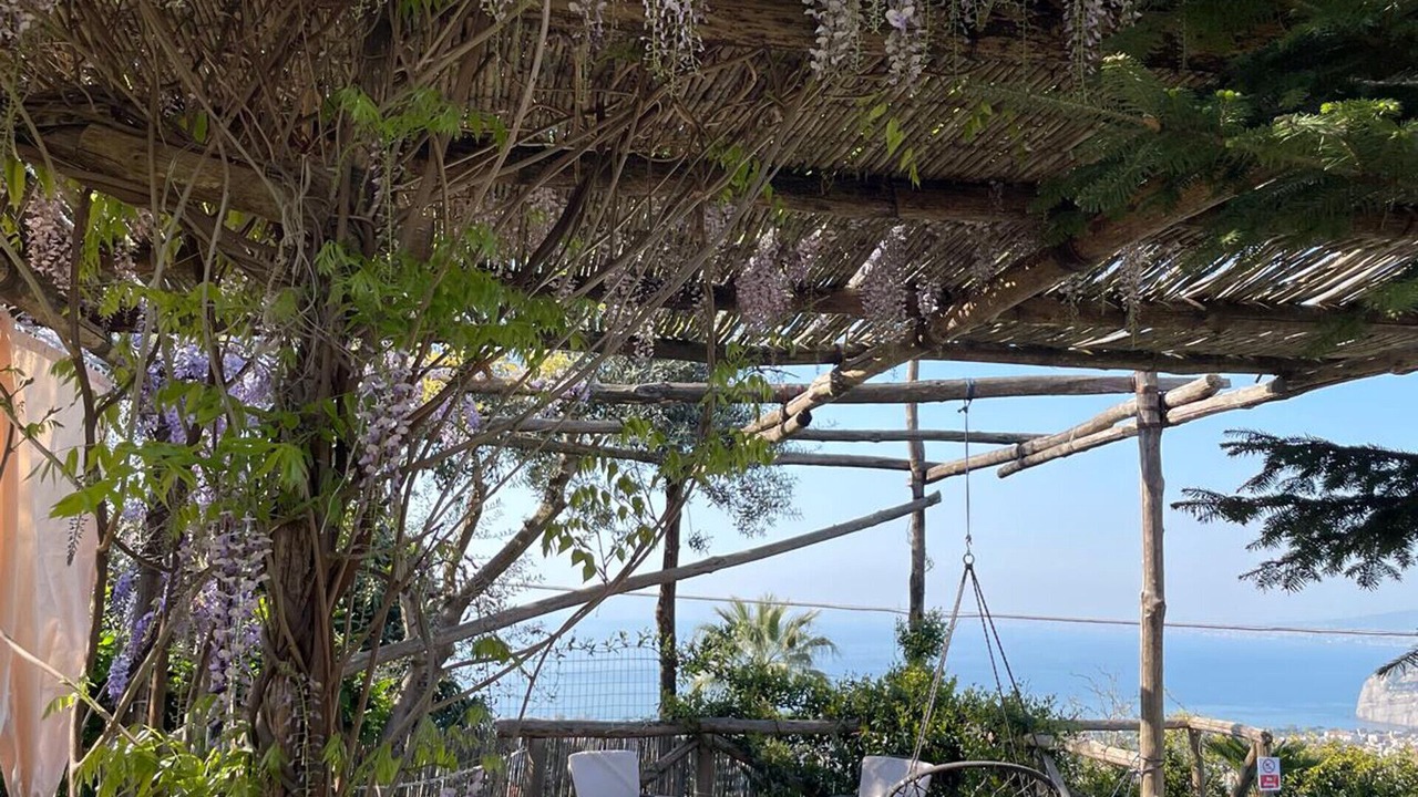 Photo of Patio Balcony in Sant'Agnello