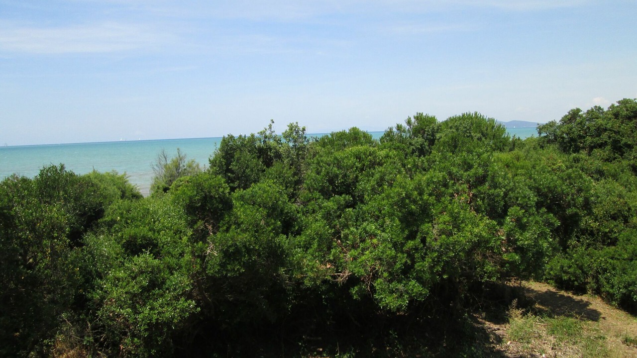 Photo of Others in Orbetello