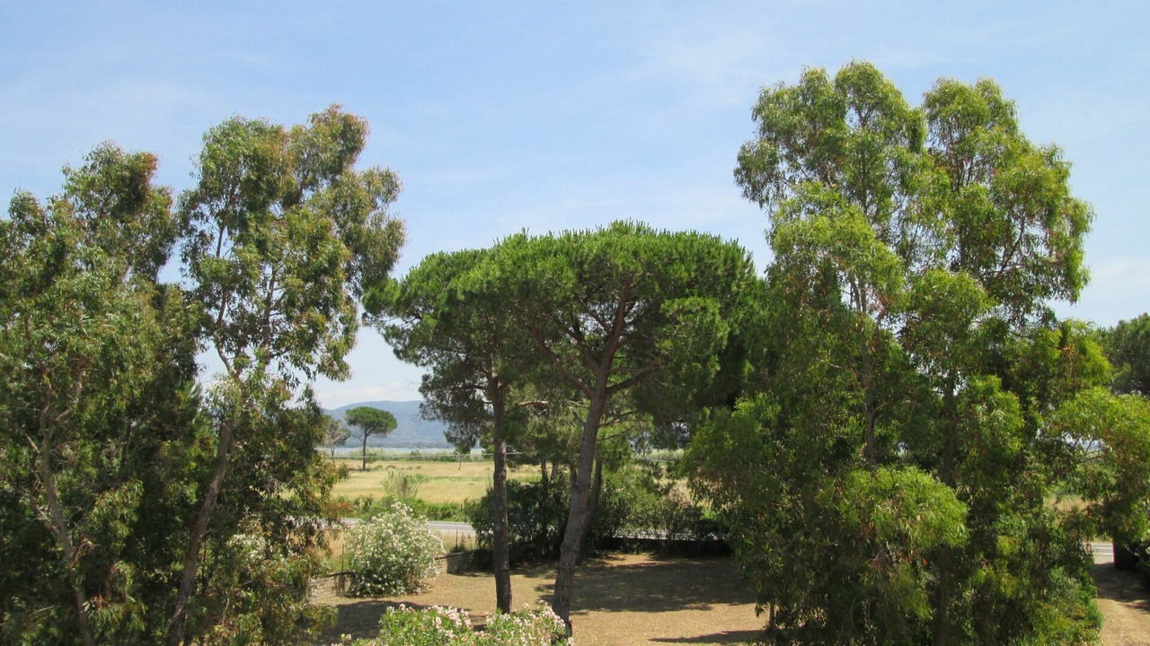 Photo of Others in Orbetello