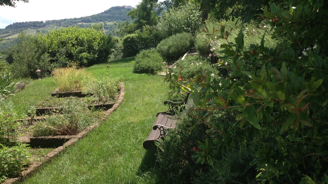 Photo of Outdoor in Todi