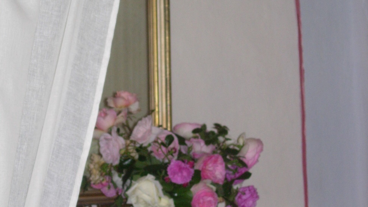Photo of Others in Todi