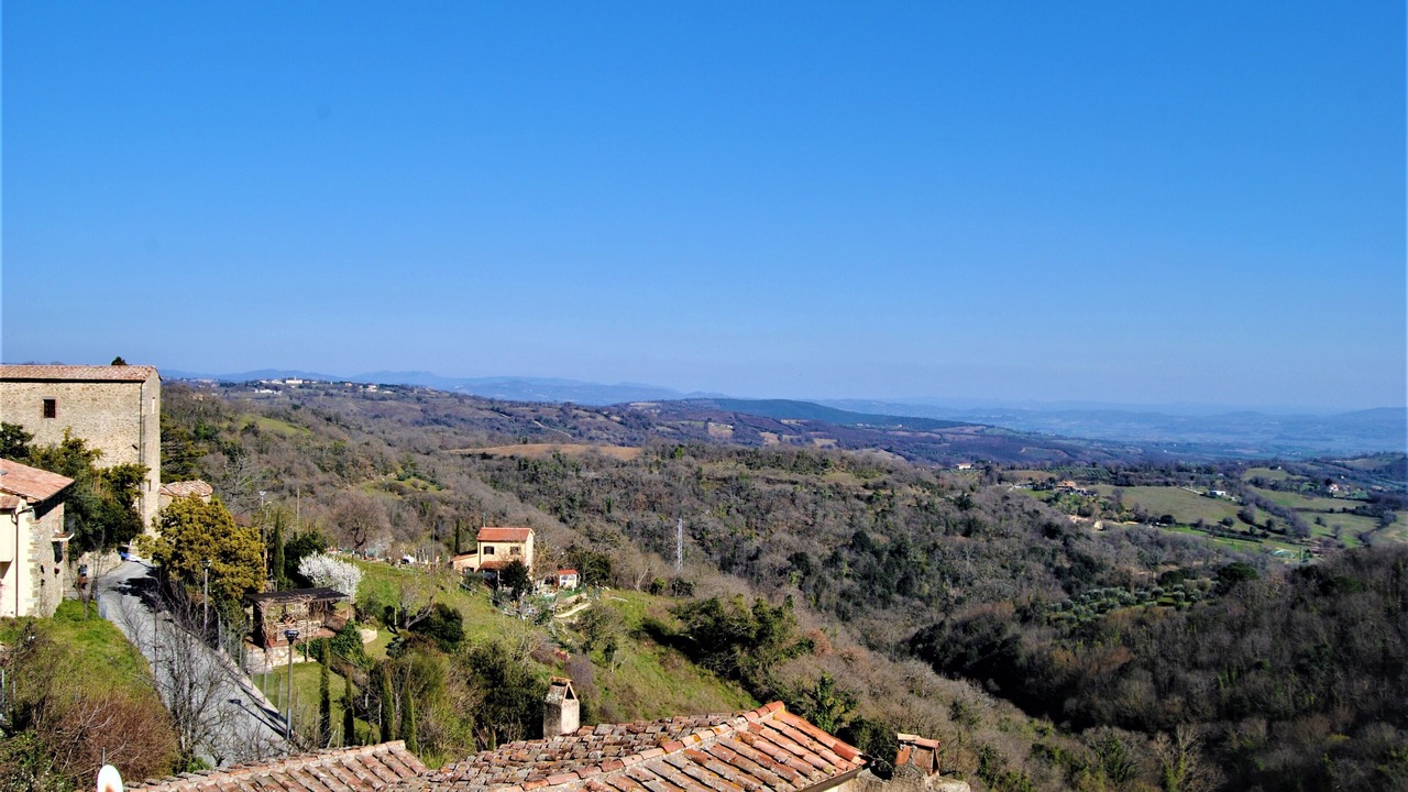 Photo of Others in Scansano