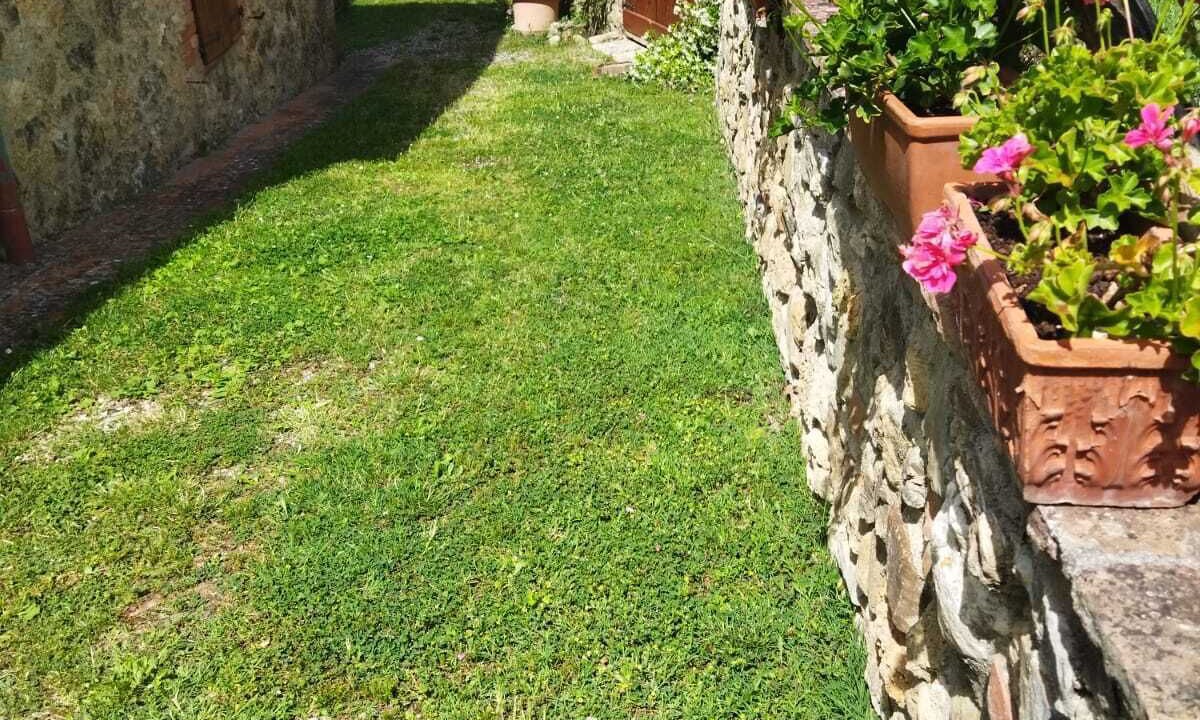 Photo of Outdoor in Murlo
