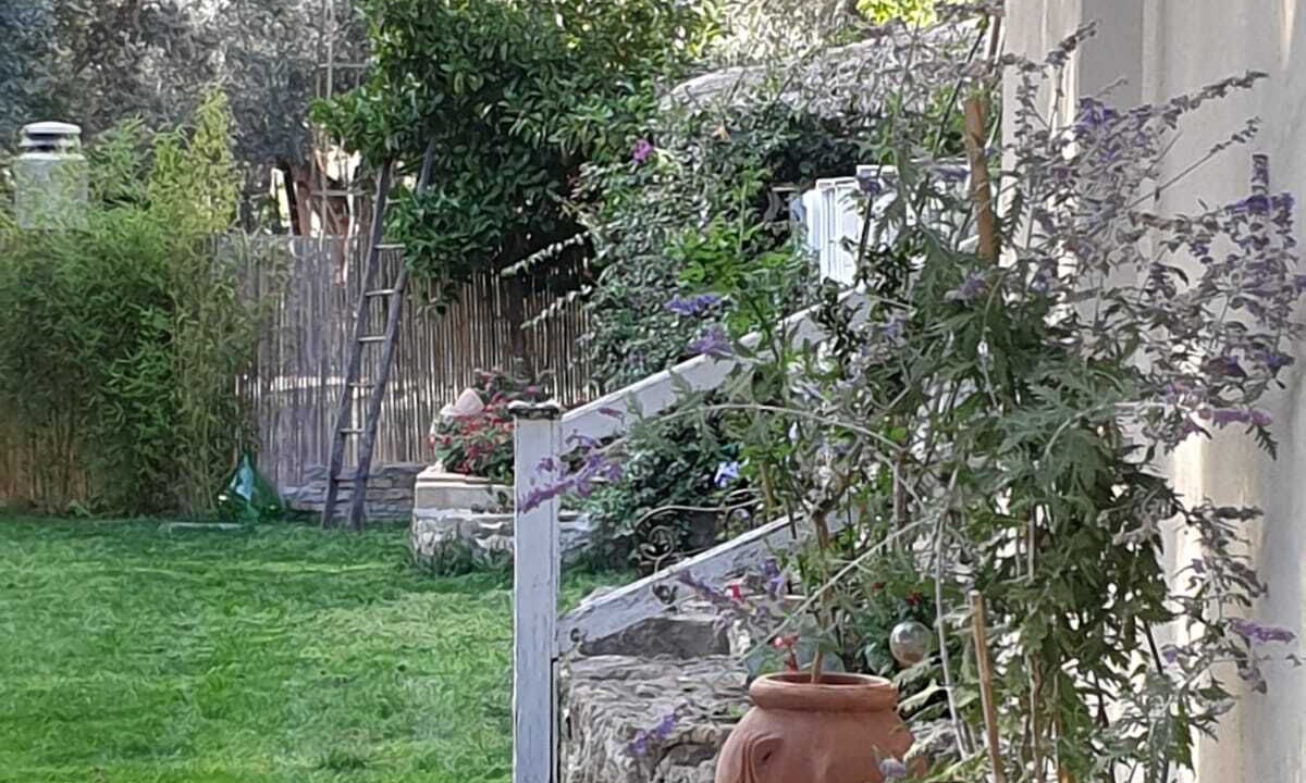 Photo of Outdoor in Capalbio