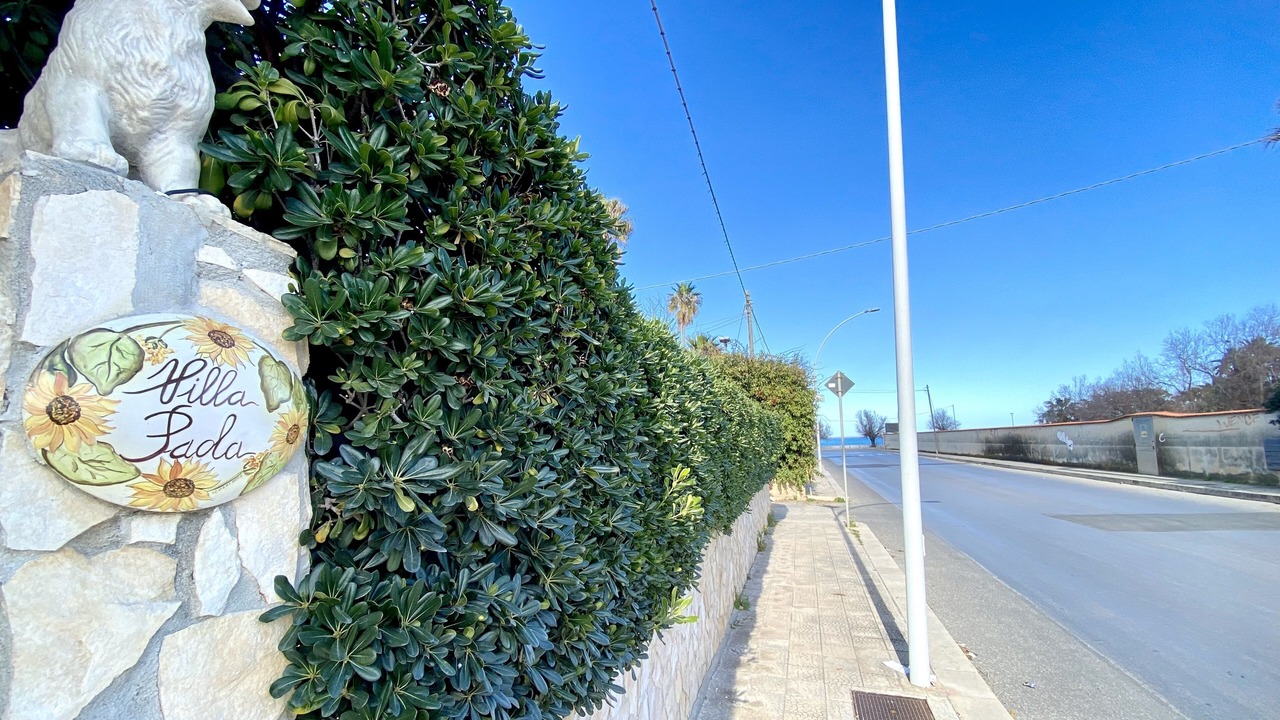 Photo of Outdoor in Avola