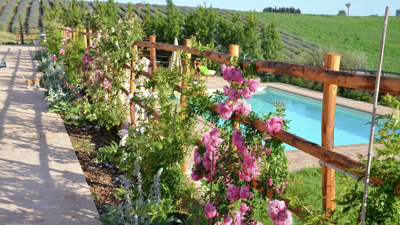 Photo of Outdoor in Montalto di Castro