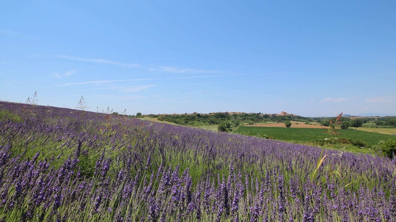 Photo of Outdoor in Montalto di Castro