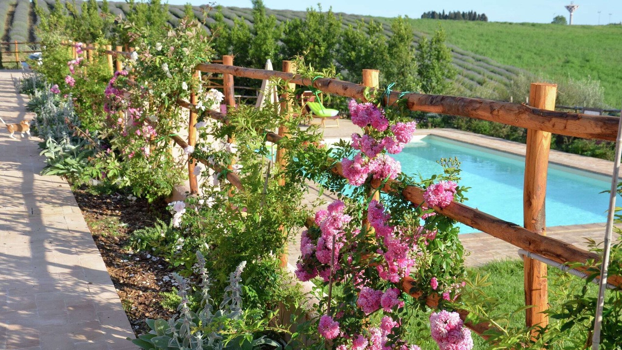 Photo of Outdoor in Montalto di Castro