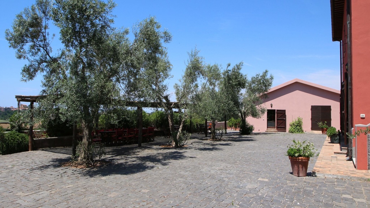 Photo of Patio Balcony in Montalto di Castro