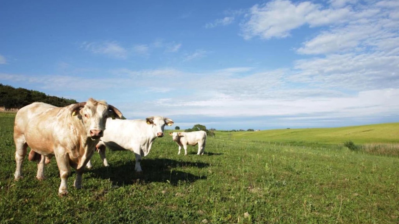 Photo of Others in Montalto di Castro